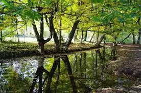 Ruisseau du Bois de Laye