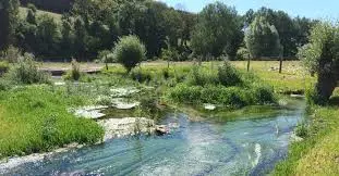 Ruisseau de la Creuse