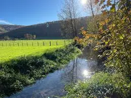 La Dranse de Sous le Saix