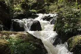 La Dranse de la Manche