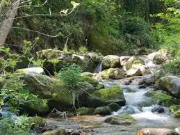 Torrent de Chardonnière