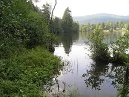 Ruisseau des Plénets