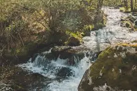 Torrent de Jaillet