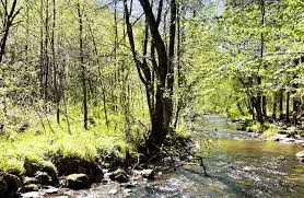 Nant du Moulin