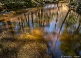 Nant Cortet