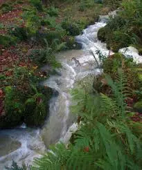 Ruisseau de la Bottière