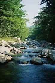 Torrent de la Gruvaz