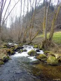 Ruisseau de la Lozière