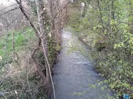Ruisseau de la Neuva