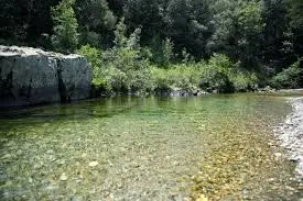 Ruisseau de la Seigne