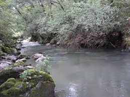 Ruisseau du Borgeail