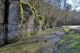 Ruisseau de la Provenchère