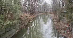 Ruisseau des Lacs Verdet