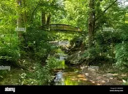 Ruisseau du Lac Noir