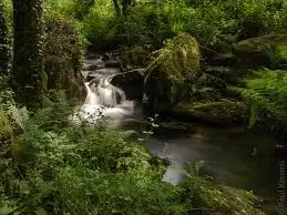 Ruisseau des Fontaines