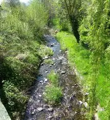 Torrent d'eau Rousse