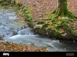 Ruisseau de l'Envers