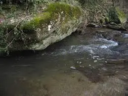 Ruisseau des Trembles