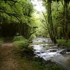 Torrent de la Platière