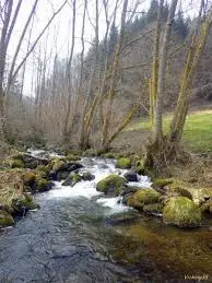 Ruisseau de la Perdrix