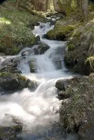Ruisseau des Yvôses