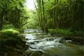 Ruisseau de Pré de la Cour