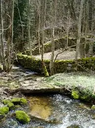 Ruisseau de l'Hôpital