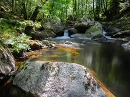 Ruisseau de Montgellaz