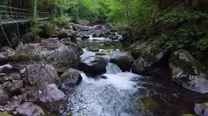 Torrent de la Rosière