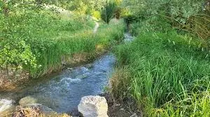 Torrent de la Glière