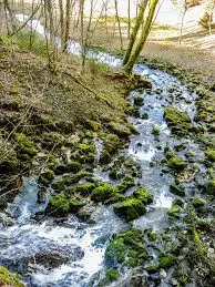Ruisseau de la Tessennaz