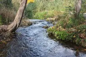 Ruisseau de la Glière Derrière