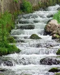 Ruisseau de la Saugine