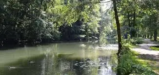 Rivière de l'Yonne