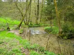 Ruisseau du Charbonnet