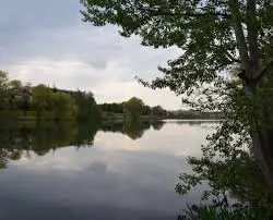 Etang des vieilles vignes