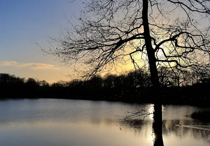 Etang de la Haute Maison