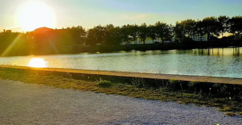 Etang du Maubuée