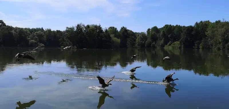 Etang de la Loy