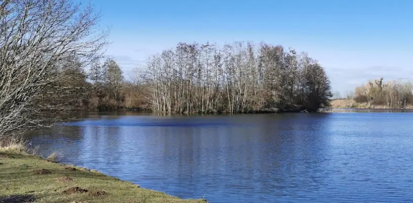 Etang de la Brosse