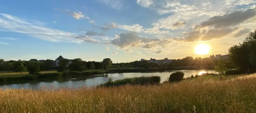 Etang des Colverts