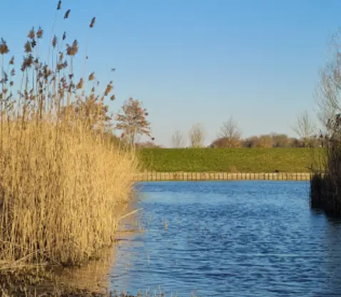 Etang des Grouettes