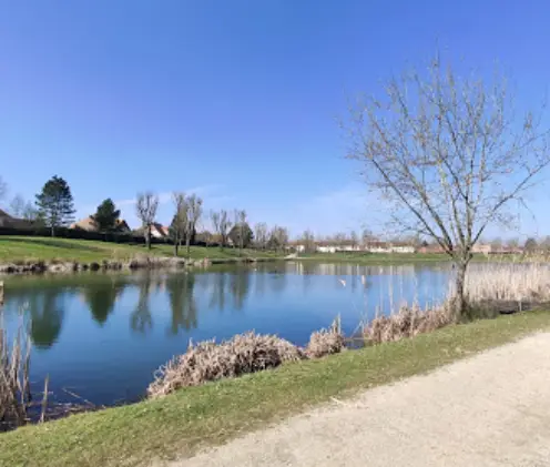 Etang de la Boiserie