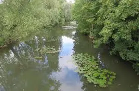 Rivière de la Marne