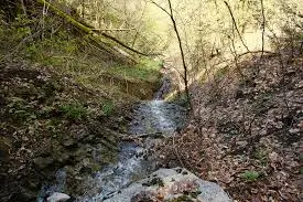 Ruisseau de Combe Noire
