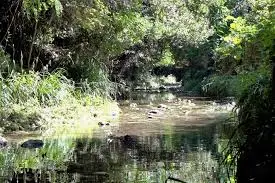 Ruisseau des Gorges