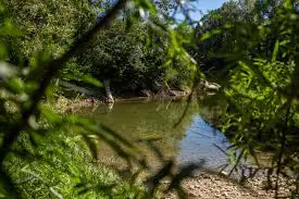 Torrent de la Boisserette