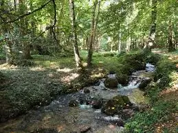 Ruisseau du Coudret