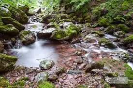 Bras de Décharge de la Leysse