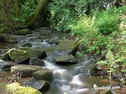 Nant de Goué